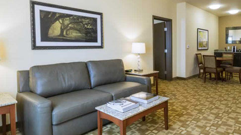 Live Oak Suite